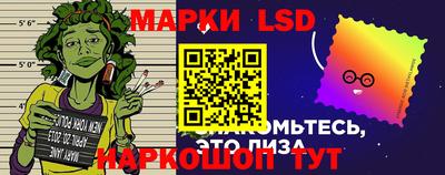 jwh Кингисепп